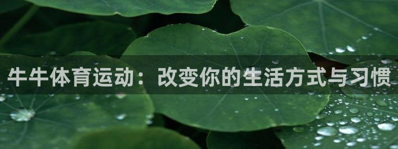 杏运2平台登录