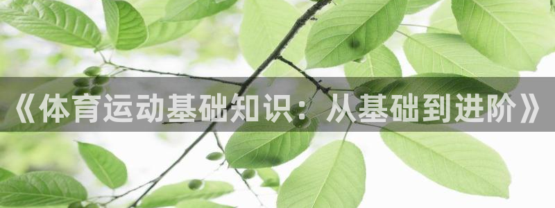 杏运官网入口