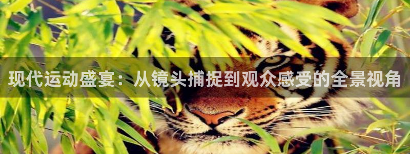 杏运礼盒