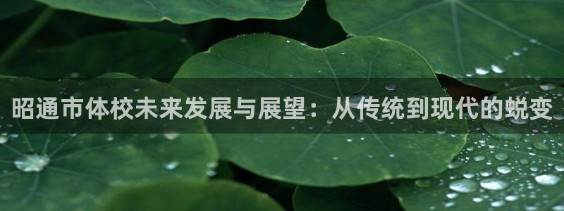 杏运凯捷开号链接