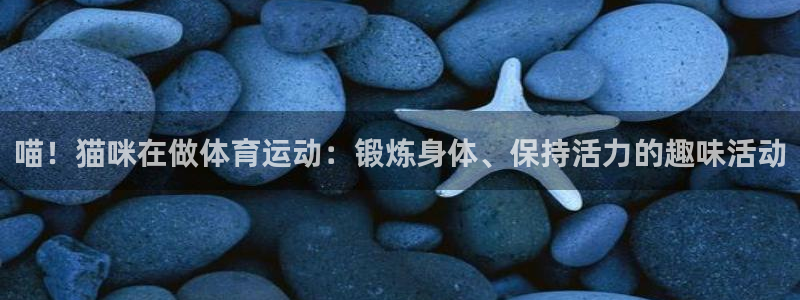 杏运主管
