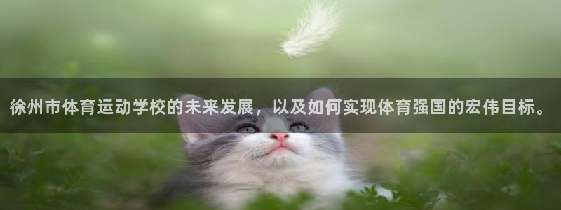 杏运电子有限公司