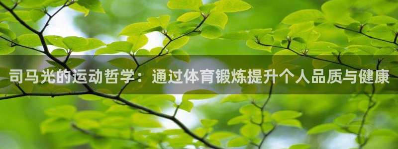 杏运凯捷平台