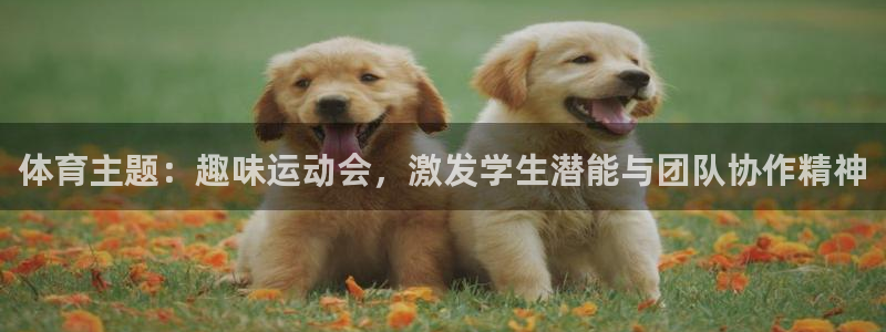 杏运体育2官网入口