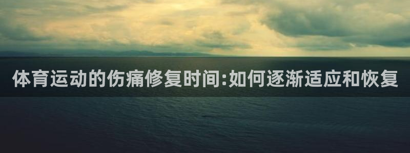 杏运达贝钙是什么