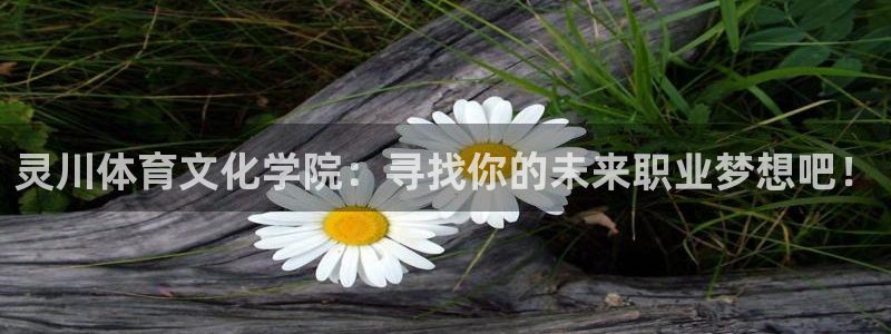 杏运体育