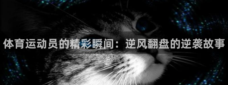 杏运包怎么样