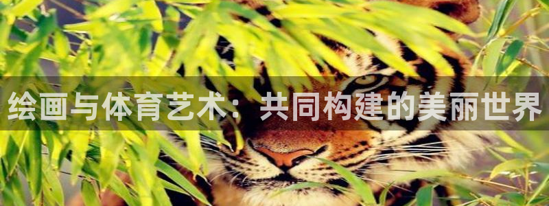 杏运体育用品