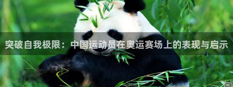 杏运礼盒