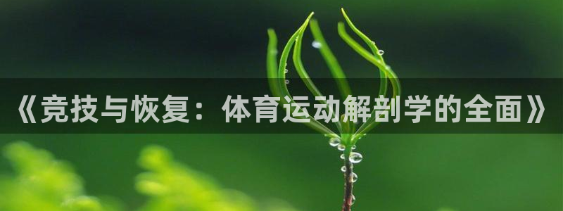 杏运2登录地址