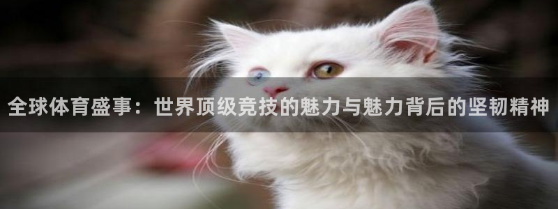 杏运汽车