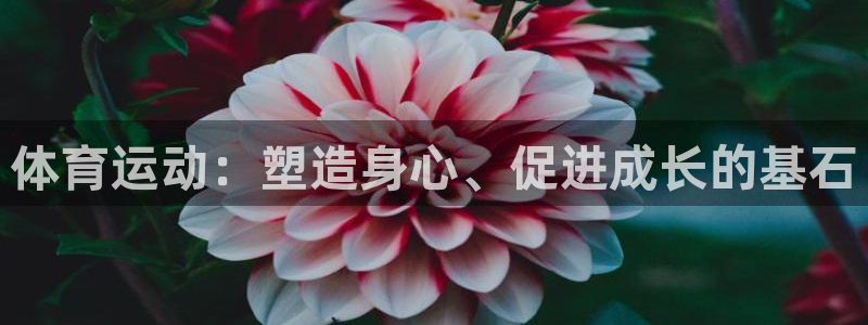 杏运体育凯捷平台招商
