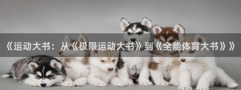 杏运娱乐