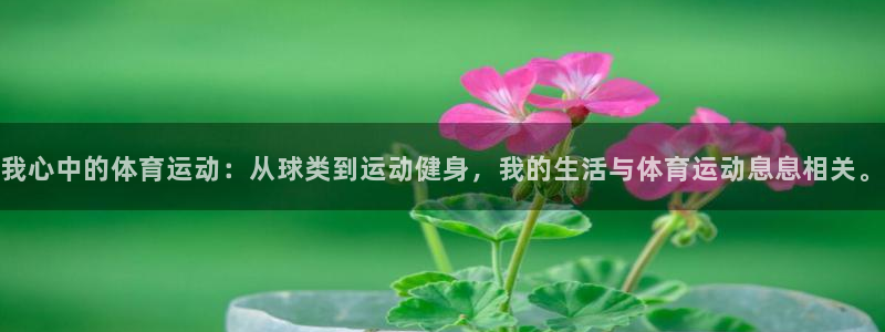 杏运2登录地址