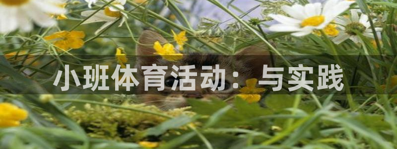杏运官网