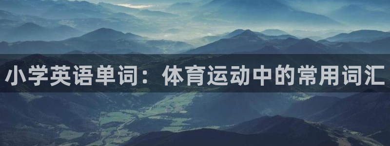 杏运电动汽车多少钱一辆