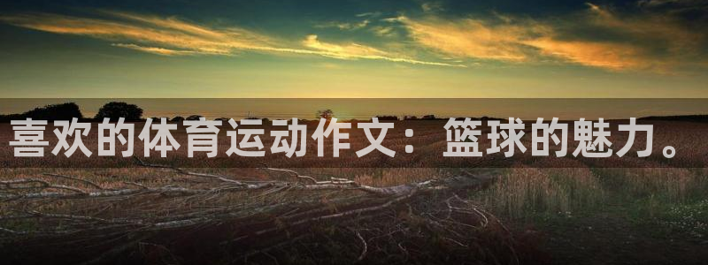 杏运体育游戏