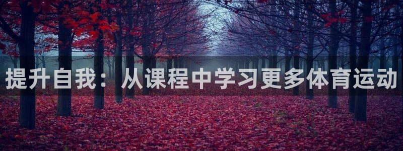 杏运体育热门赛事有哪些