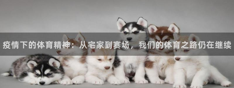 杏运电动汽车多少钱一辆