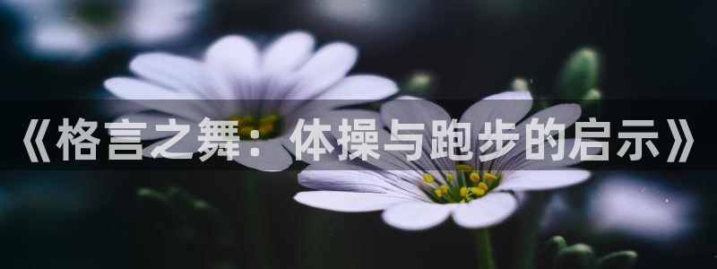 杏运体育2